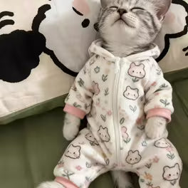 Adorable Feline Hoodie